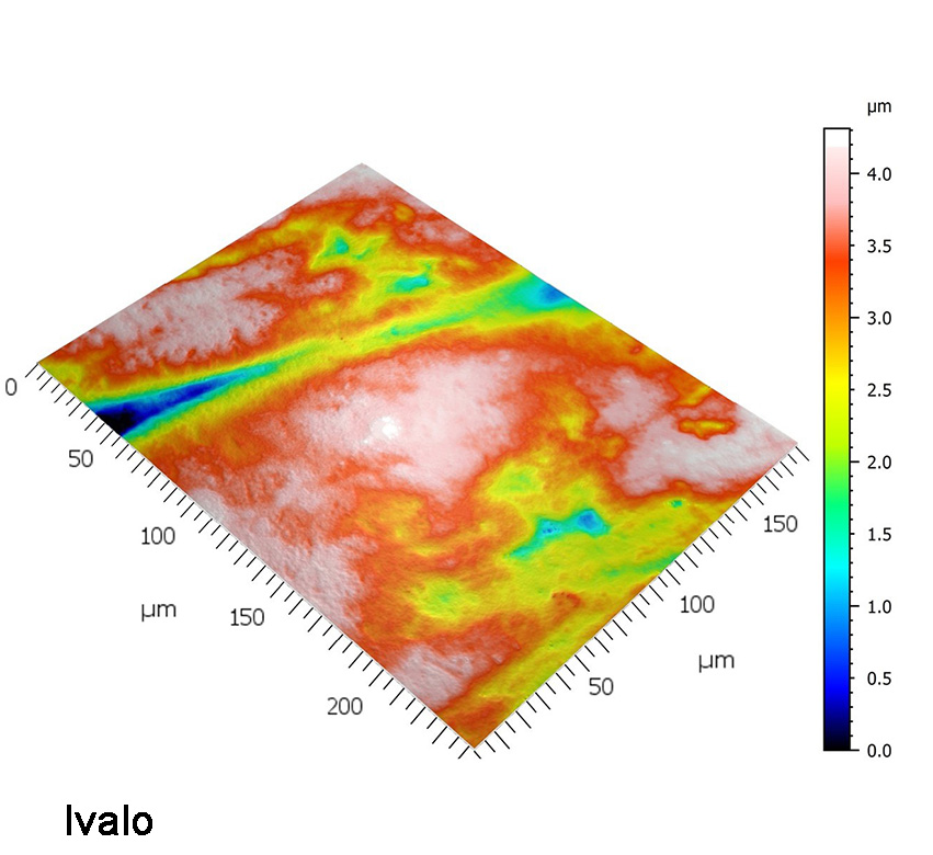 Photosimulation of reindeer tooth microwear