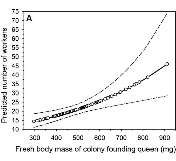 Relationship between queen weight and number of workers